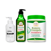 SHAMPOO ANTICASPA 350ML + SHAMPOO ROMERO 520ML + TRATAMIENTO CAPILAR